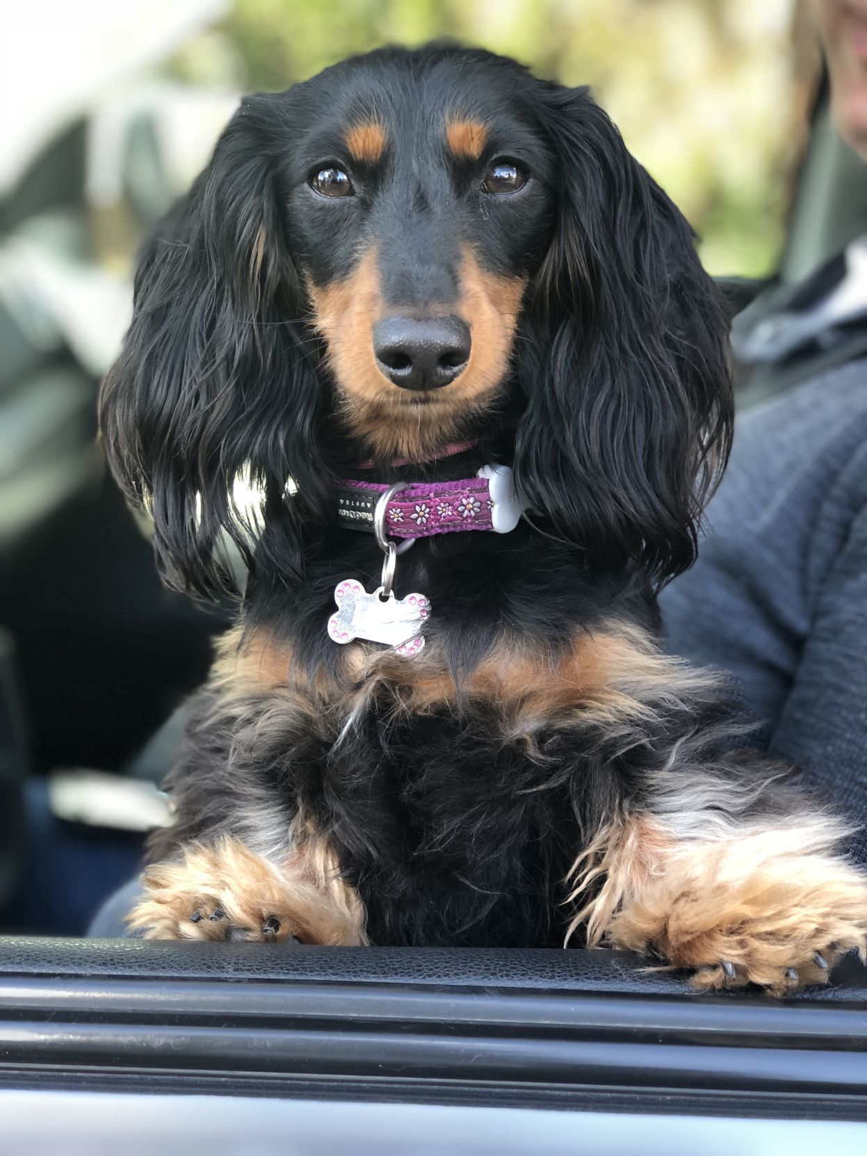Lola